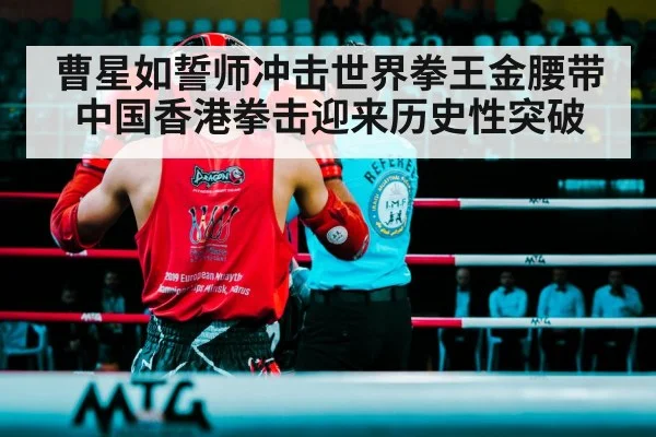 boxing ring fight